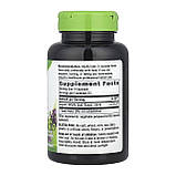 Alfalfa - 100 vcaps, фото 2