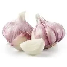 Часник посадковий Ірен, перша репродукція, фракція 5, ціна за 1 кг, 2025