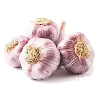 Часник Любаша перша репродукція, фракція 4+, ціна за 1 кг