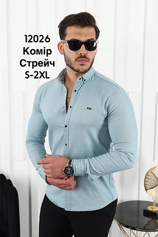 Приталена сорочка Red Stone з довгим рукавом (варений котон), фото 1