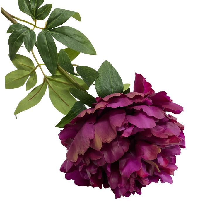 Декоративна квітка піон PLP2008, фото 1