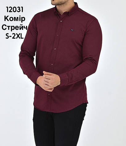 Приталена сорочка Red Stone з довгим рукавом (варений котон), фото 1