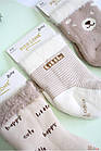 ОПТОМ Шкарпетки махра арома "Little" уні (7/0-3 міс.)  Pier Lone 8681788608118, фото 2
