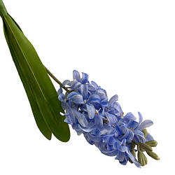 Декоративна квітка гіацинт фоаміран SK45896