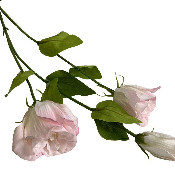 Декоративна квітка горошок SK444888, фото 1