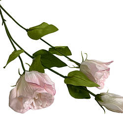 Декоративна квітка горошок SK444888