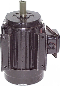 Промисловий електромотор Tempor 3500 Вт міцний електричний двигун
