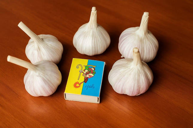 Озимий часник Любаша 1кг (ФРАКЦІЯ 3-4), фото 1