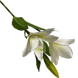Декоративна гілка лілія KSH15877