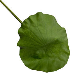 Декоративна гілка лист лотосу SHK22031