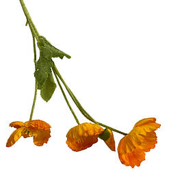 Декоративна квітка букет мак SK196473