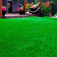 Газонна трава Відновлювальна EG DIY Renovation Eurograss, 0,5 кг, Німеччина