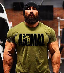 Футболки ANIMAL