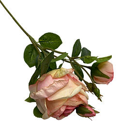 Декоративна квітка троянда KS45899