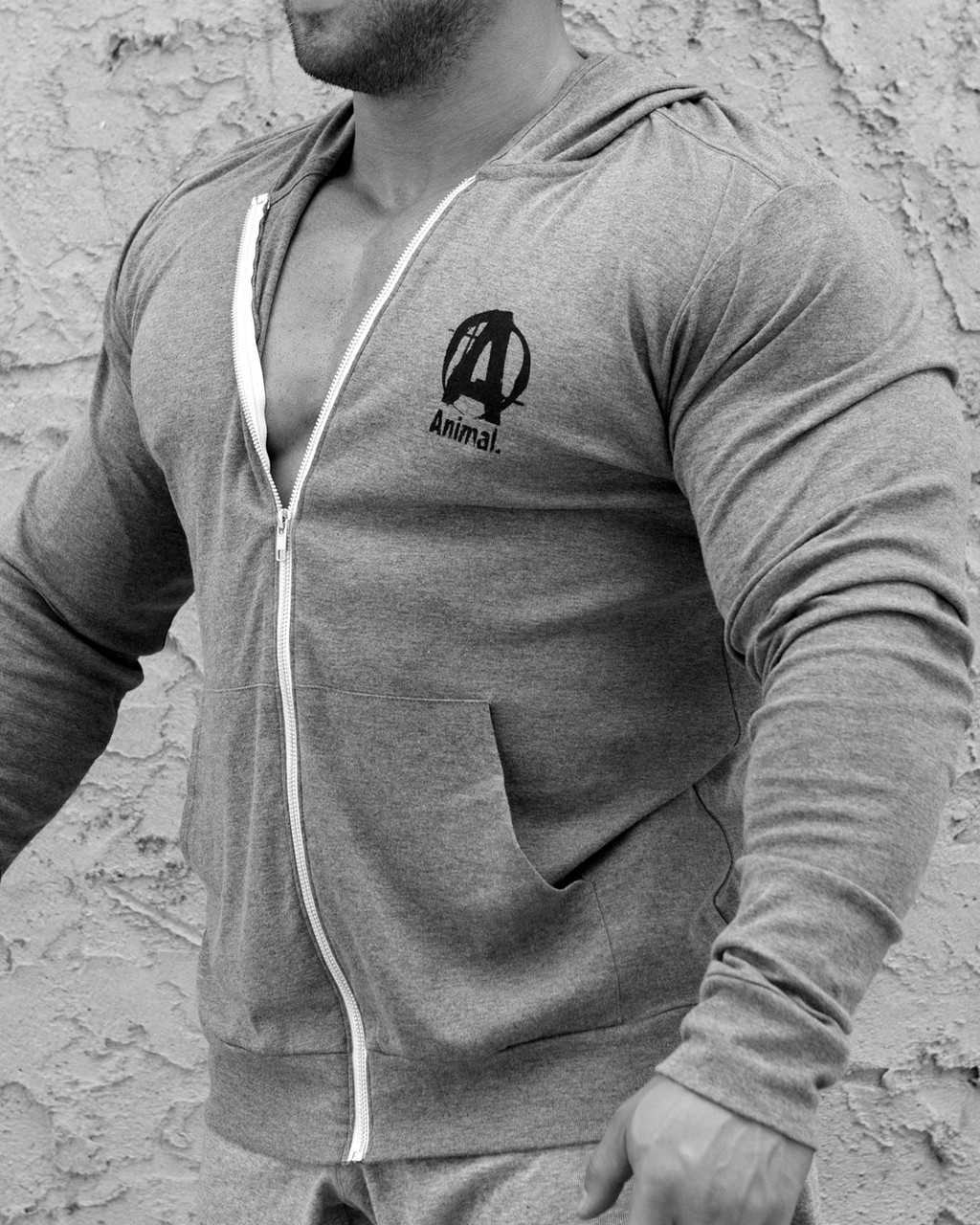 Пайта ANIMAL, фото 1