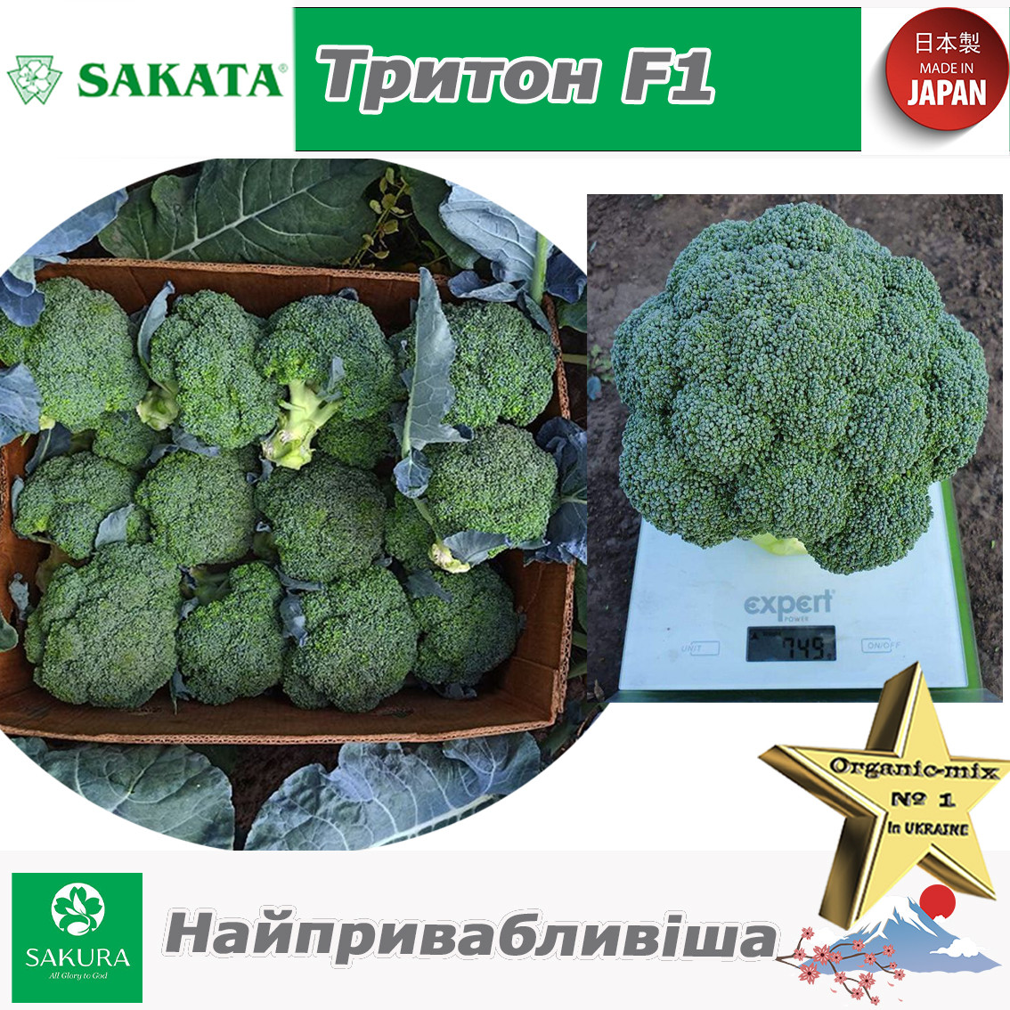Броколі Тритон F1 (найпривабливіша), ТМ Sakata (Японія), 1000 насінин, фото 1