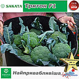 Броколі Тритон F1 (найпривабливіша), ТМ Sakata (Японія), 1000 насінин, фото 2