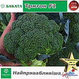 Броколі Тритон F1 (найпривабливіша), ТМ Sakata (Японія), 1000 насінин, фото 4