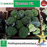 Броколі Тритон F1 (найпривабливіша), ТМ Sakata (Японія), 1000 насінин, фото 6