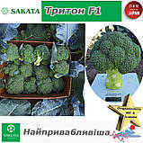Броколі Тритон F1 (найпривабливіша), ТМ Sakata (Японія), 1000 насінин, фото 7