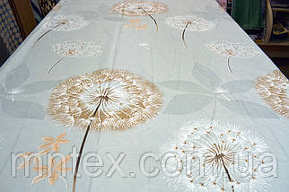 Сатин Фріда, фото 2