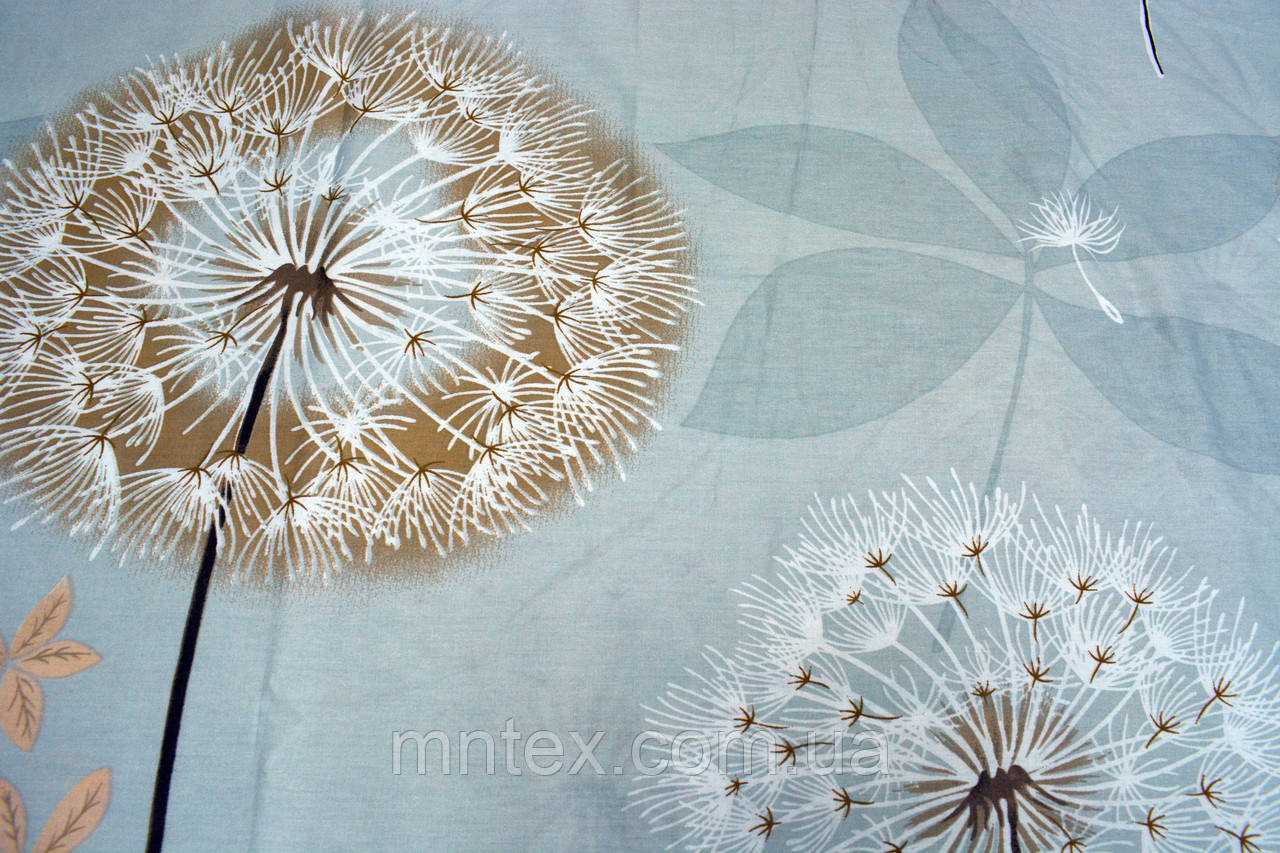 Сатин Фріда