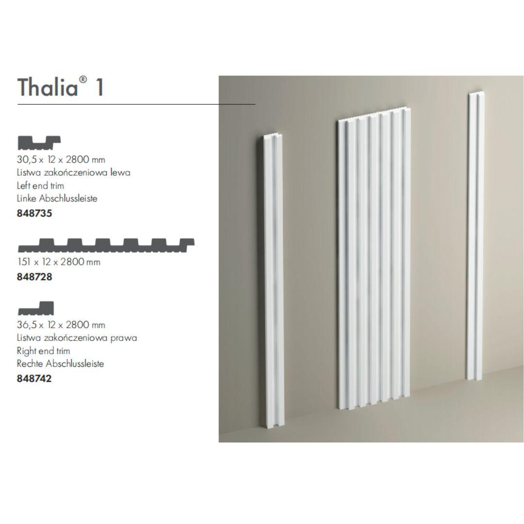 Настінна панель THALIA 01 (2800x151x12 мм) Cezar