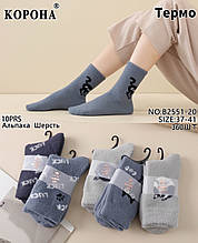 Носок Альпака вовна 36-41 пачка 10 шт.