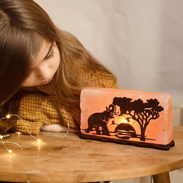 Соляной светильник Saltlamp Африка