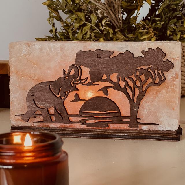 Соляной светильник Saltlamp Африка