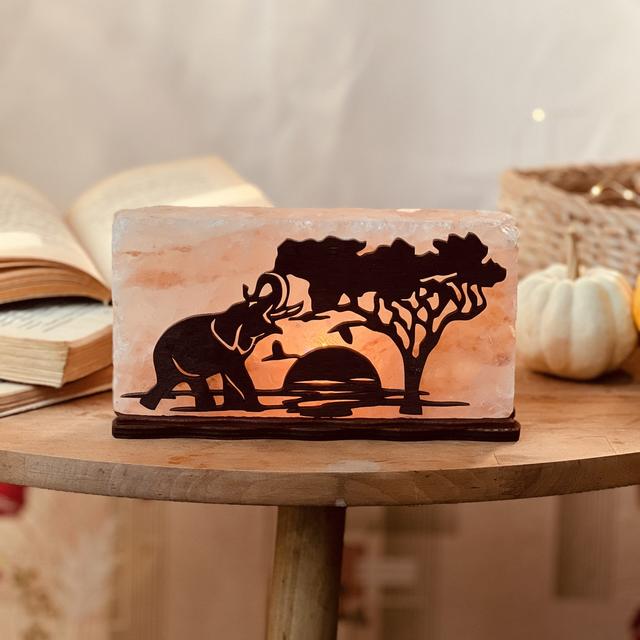 Соляной светильник Saltlamp Африка