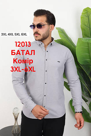 Батальна сорочка Red Stone з довгим рукавом (варений котон), комір, фото 1