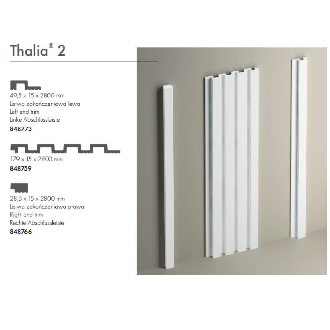 Настінна панель THALIA 02 (2800x179x15 мм) Cezar