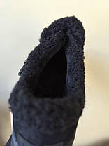 Черевики туфлі УГГІ короткі ЧОРНІ BLACK з ремінцем на високій підошві з утепленою устілкою жіночі, фото 4