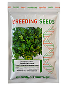 Петрушка листяна Італійський Гігант 100 г Breeding Seed