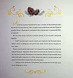 Vivat Найкраще Різдво Мюріель Цюрхер, фото 9