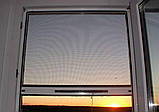 Ролетна москітна сітка (Польща) вертикальна, фото 4