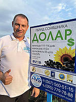 Долар (Сумо) 55ц/га, олія 52%, A-G+, 112 днів, Фракція Екстра, фото 7