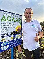 Долар (Сумо) 55ц/га, олія 52%, A-G+, 112 днів, Фракція Екстра, фото 8