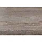 Димчастий Дуб 4608, фото 3