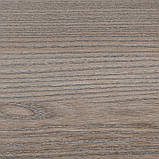 Димчастий Дуб 4608, фото 4