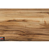 Індійський горіх 4525, фото 3