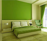 Покраска стен, фото 4