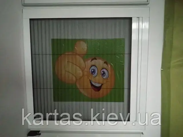 Москітні сітки PLISSE - високий нижній профіль  ( віконний PL2, дверний PL4  ), фото 1