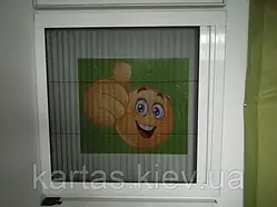 Москітні сітки PLISSE - високий нижній профіль  ( віконний PL2, дверний PL4  )