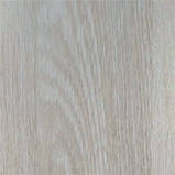 Двері Soft Альба біла КФД, фото 3