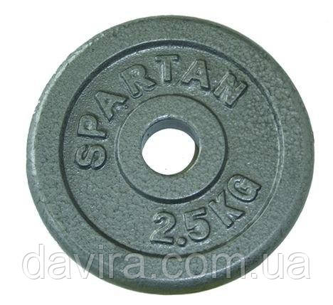Чавунні диски для грифа&nbsp;Spartan Sport 2x15 кг, фото 1