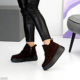 Жіночі зимові черевики натуральні, хайтопи на високій підошві, зимові жіночі черевики на високій підошві, фото 6