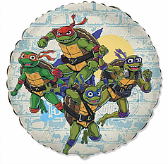ФМ087 FLEXMETAL-ФМ Коло 18" Черепашки Ніндзя