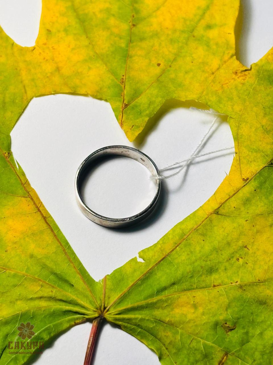 Срібна Каблучка, фото 1